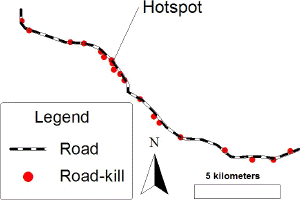 Roadkill locations along road
