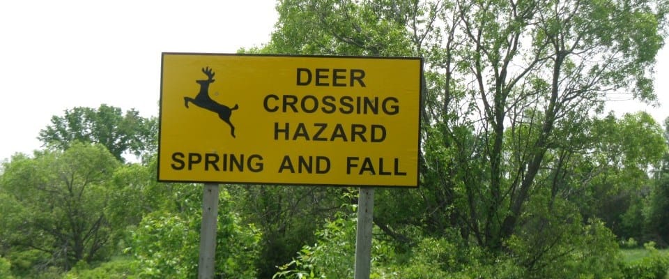 Signs_seasonal deer sign spring fall_960x400