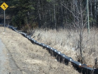 Animex fence trenched into ground-phase II