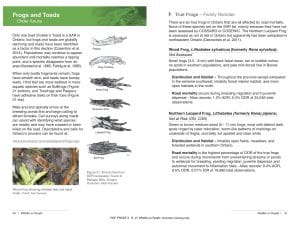 sample (frogs and toads)